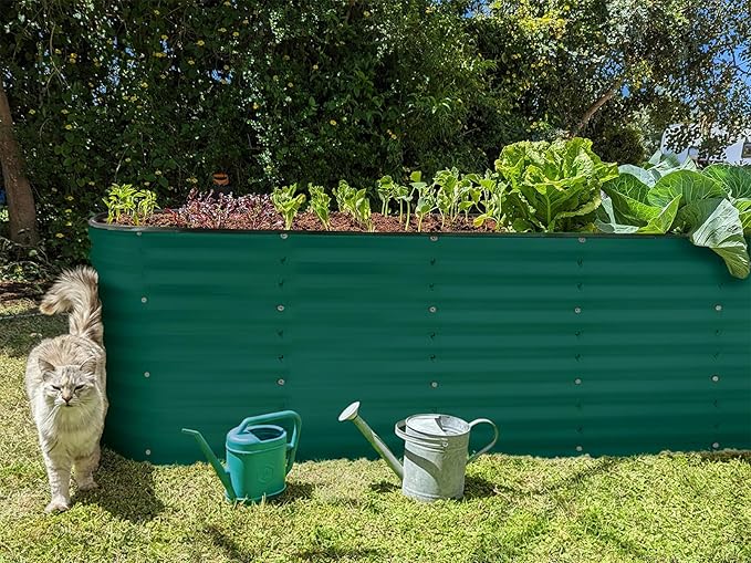 Plant & Plot Galvanized Raised Garden Beds Outdoor // 8×2×2 ft Planter Raised - Image 6