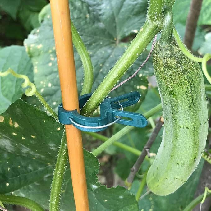 Sago Brothers 40 PCS Plant Clips Garden Clips - Image 7