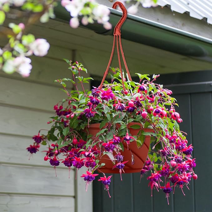 Tioncy 50 Pcs Plastic Hanging Planter Round Hanging Pot - Image 5