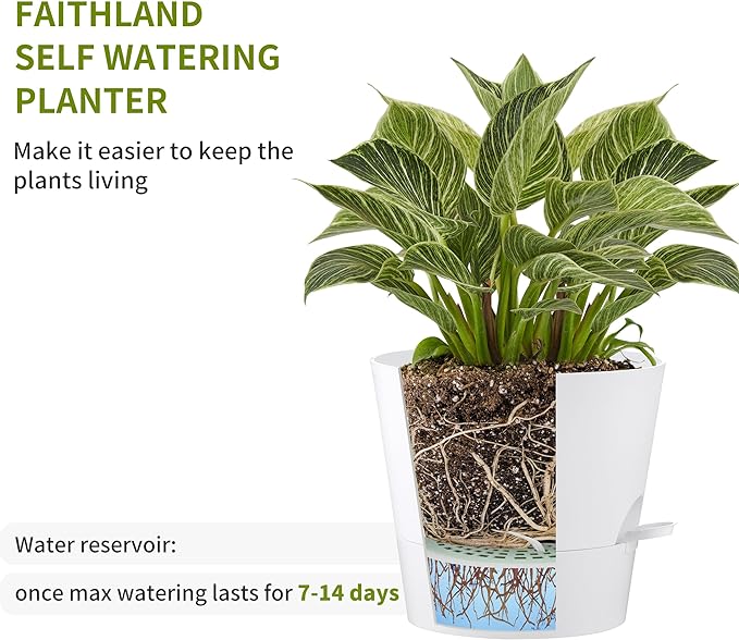 FaithLand 6-Pack White Self Watering Planter Pots - Image 3