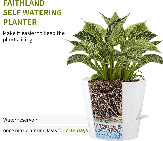 FaithLand 2-Pack 8 Inch Planter Pots - Image 3