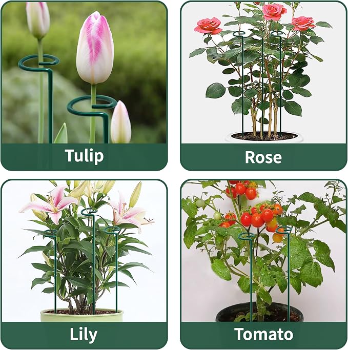 36” Tall Plant Stakes, 6 Pack Plant Support Stakes, 6mm Heavy-Duty Metal Garden - Image 6