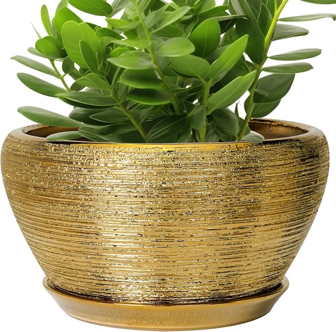 Ceramic Planter 11 Inch by Ceramicfor