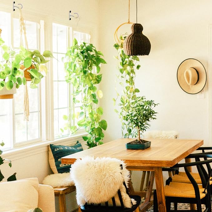 2Pack 2.5Inch Ceiling Hooks for Hanging Plant, Hanger for Indoor and Outdoor - Image 8
