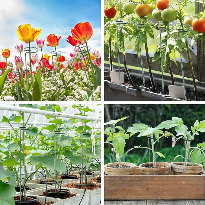 18 Inch 20 Packs Plant Support Stake Garden Single stemmed Plant Support Hoops - Image 5