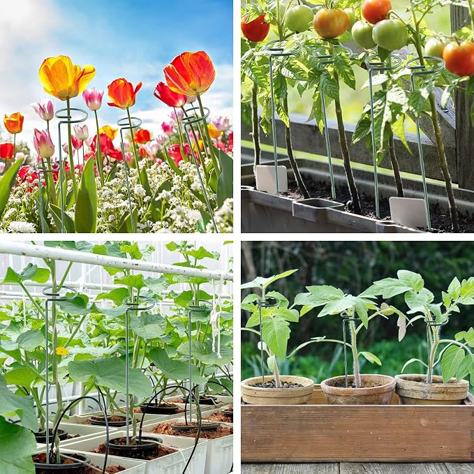 24 Inch 20 Packs Plant Support Stakes, Garden Single stemmed Plant Support - Image 6