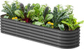 Vego garden Raised Garden Bed Kits by VegoGarden