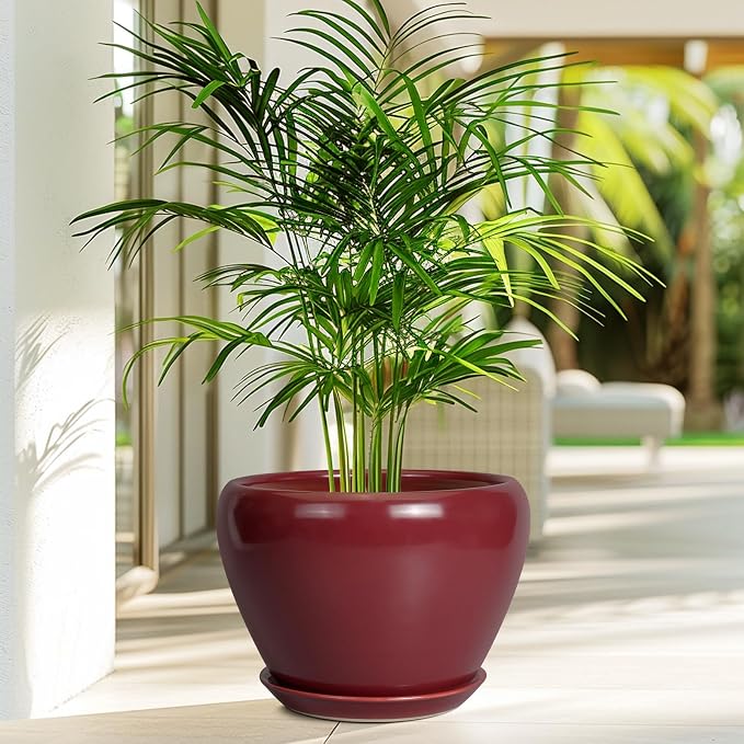10 Inch Plant Pot - Image 4