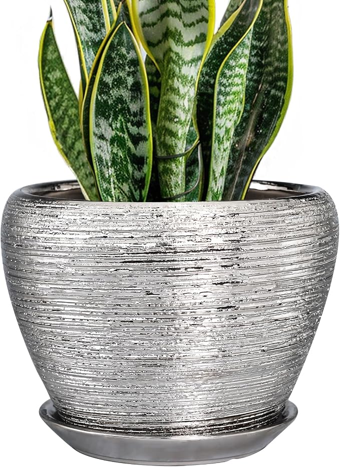 Pot for Plants 8 Inch by Ceramicfor