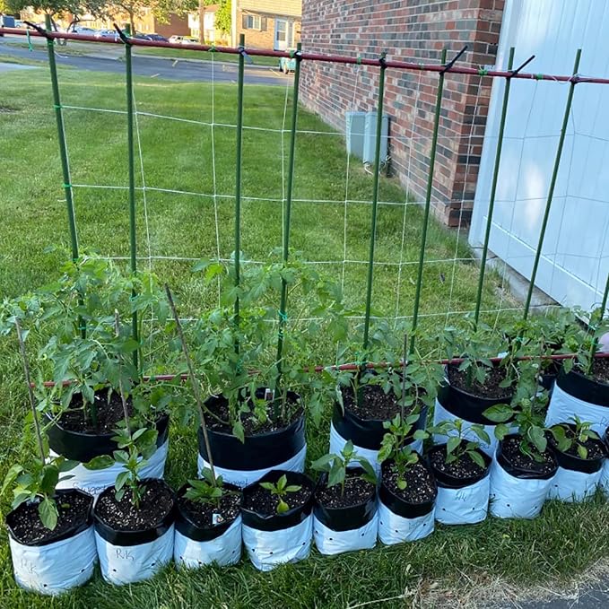 Garden Plant Stakes 48 Inch 4Ft Steel Plant Stick Support, 25 Pack Tomato Stakes - Image 5