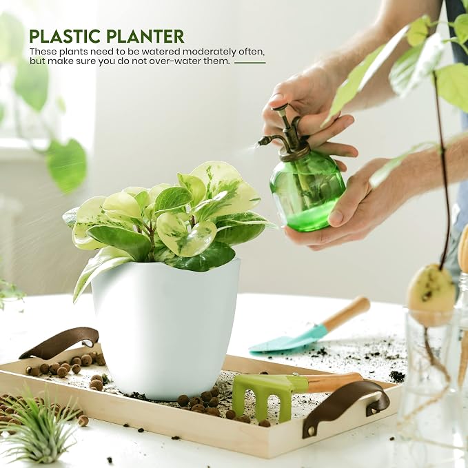 Utopia Home Plant Pots Indoor - Image 4