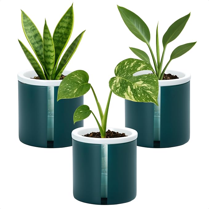 D'vine Dev 4 Inch Design Self Watering Planter by DvineDevPlanterPotsandStand