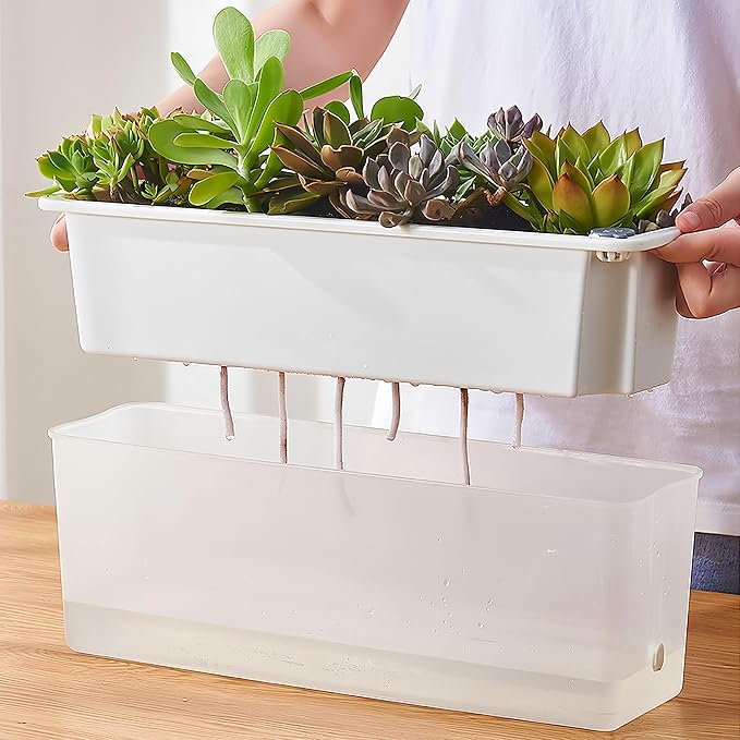 FAMZ Self Watering Pots for Indoor Plants 3 Pack Transparent Rectangular - Image 2