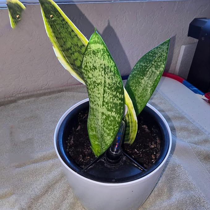 KINJOEK 4 Packs 7 Inch Self Watering Planter - Image 5