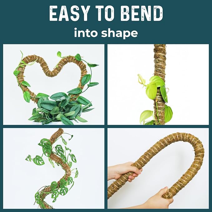 2 Pack 42'' Bendable Moss Pole Monstera Plant Support - Image 4