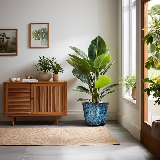 10 Inch Plant Pot - Image 3