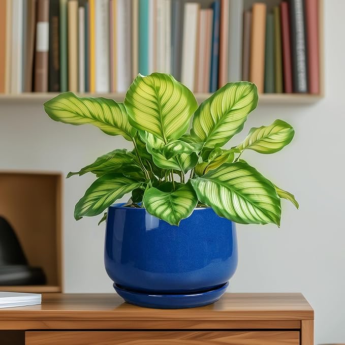 G EPGardening 6 Inch Plant Pot - Image 6