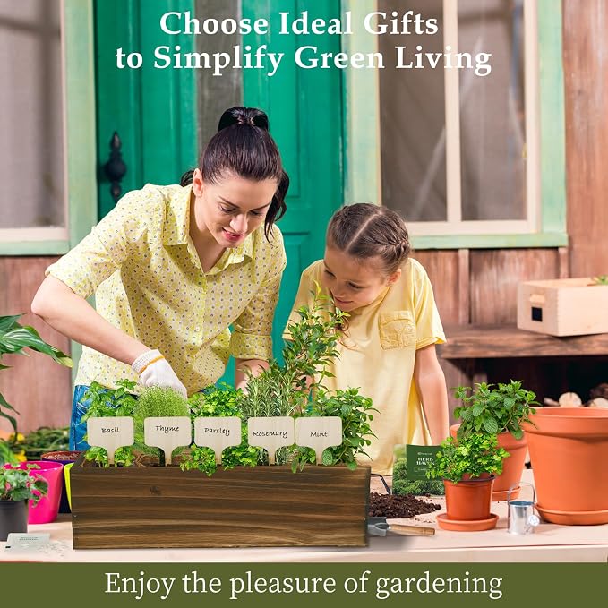 5 Herb Garden Planter Indoor - Image 5