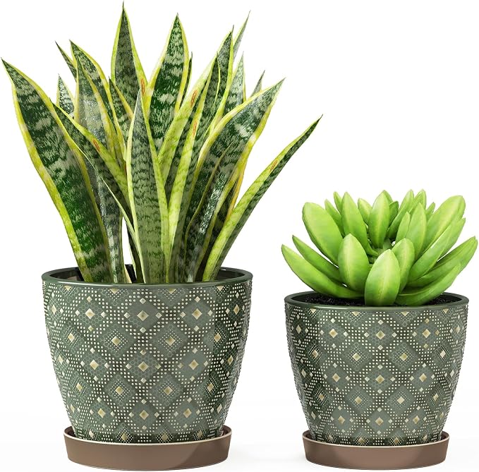 Docrin Dark Green Ceramic Planter Set by DOCRIN