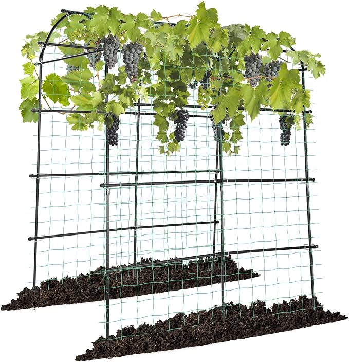 VIVOSUN 7Ft. Arch Trellis for Climbing Plants, Lightweight Metal Plant Support by VIVOSUN
