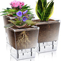 Self Watering Pots Set, 3 Pack 5 Inch by IWNTWY