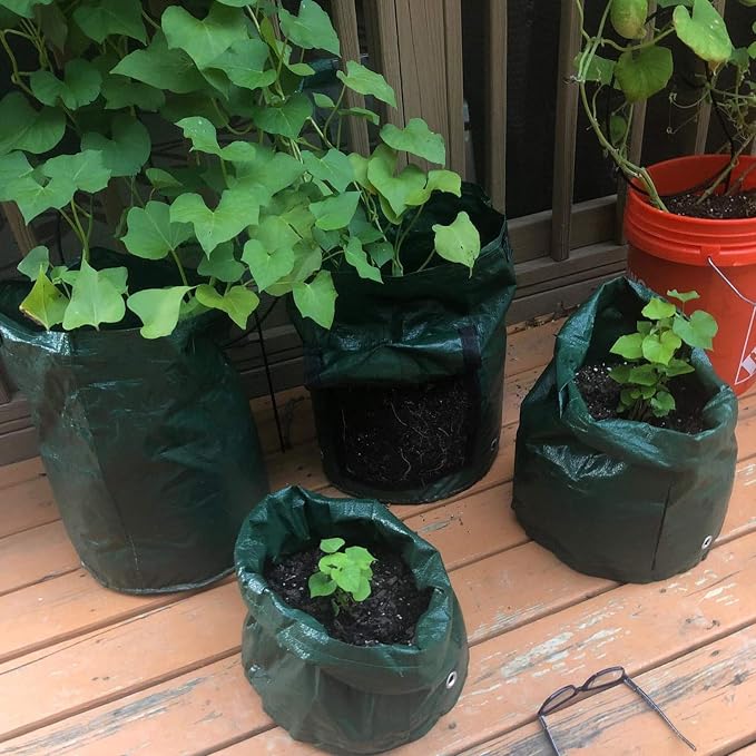 JJGoo 2 Pack 10 Gallon Garden Potato Grow Bags - Image 6