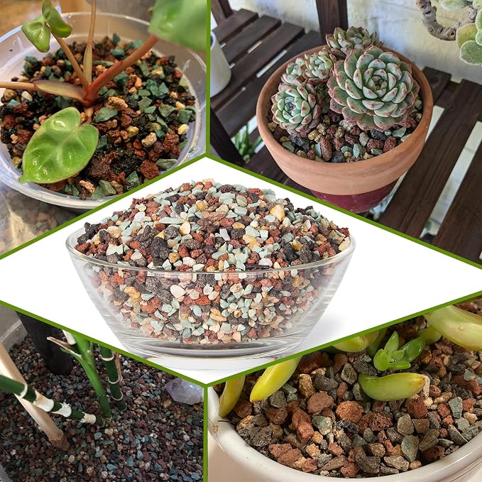 Succulent Pots with Drainage, 10 Inch Large Succulent Planters with 2.2lb Mix - Image 5