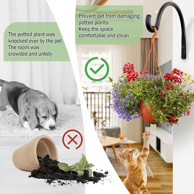 Qiang Ni Hanging Plant Bracket Hooks: 8 Inch Wall Plant Hook Planters and Decor - Image 5
