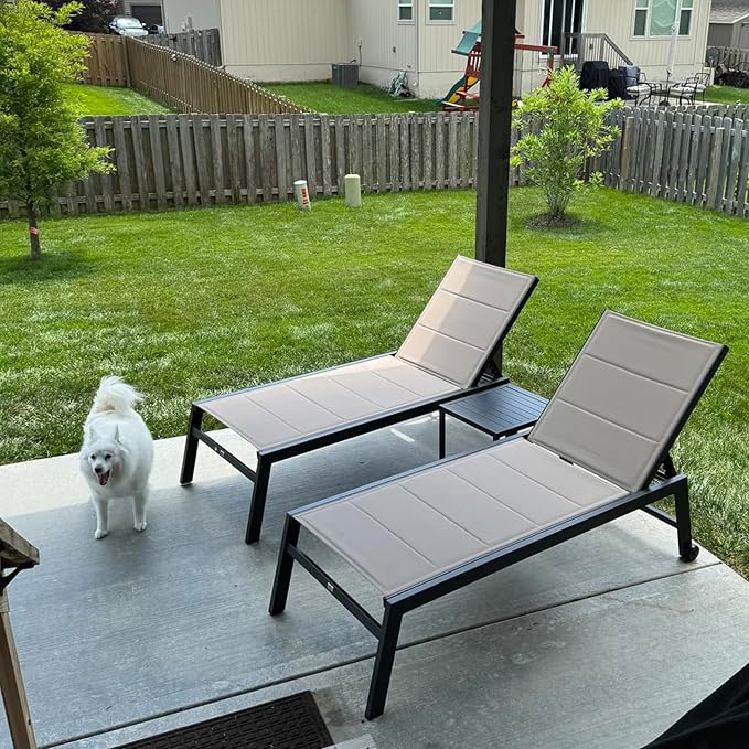PURPLE LEAF Extra Large Outdoor Chaise Lounge 4 Pieces Aluminum Patio Lounge by PURPLELEAF