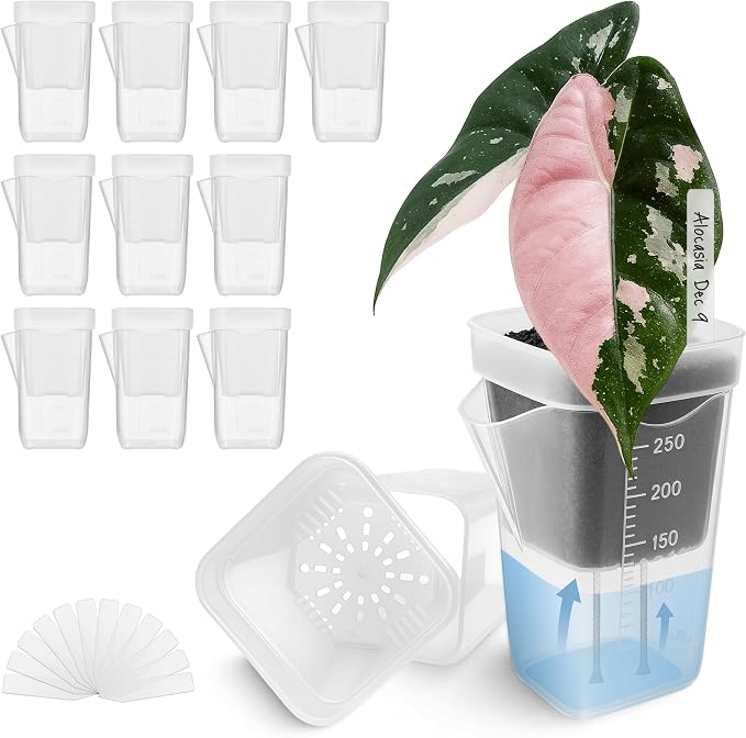 12 Pack 2.5" Small Self Watering Pots by Vandorelle
