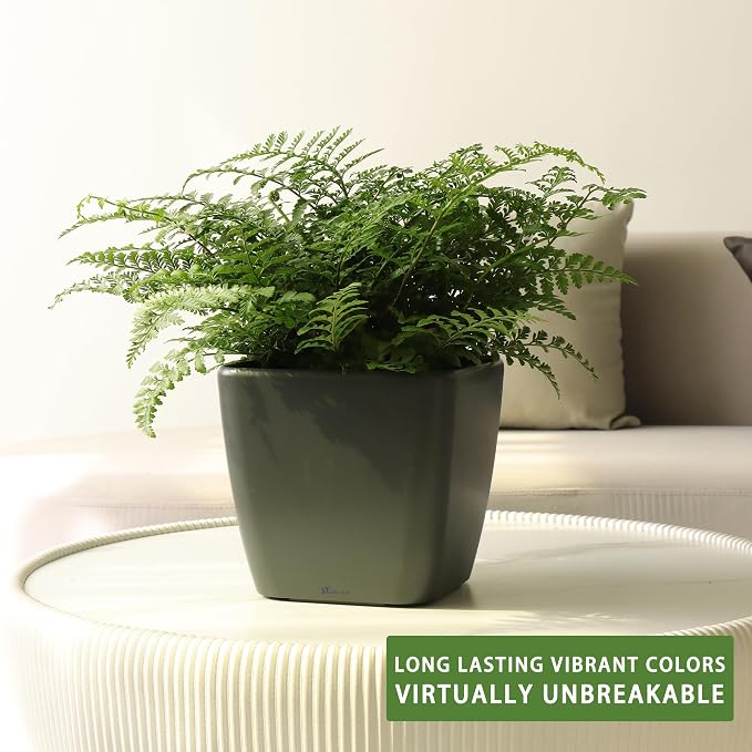 Dexceder 11x10 Self Watering Planter Indoor Outdoor, Inner Mat Design, - Image 6