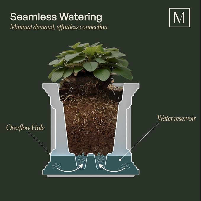 Mayne Nantucket 3-Foot Window Box – Self-Watering, Weather-Resistant Planter - Image 2