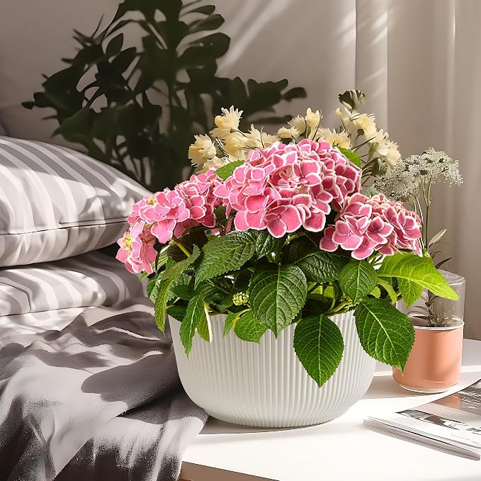 T4U 10 Inch Self Watering Pots for Indoor Plants, 2 Pack Large Plant Pots - Image 9