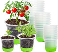 MIXC Thickened Clear Nursery Pots by MIXC