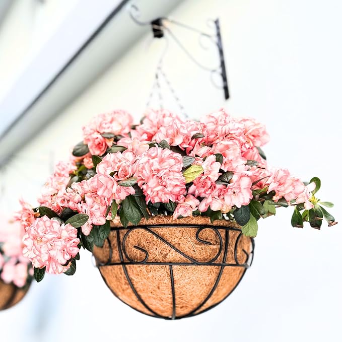 LaLaGreen Hanging Planter for Outdoor Plants Hanging Baskets by L%C3%A1L%C3%A1Green