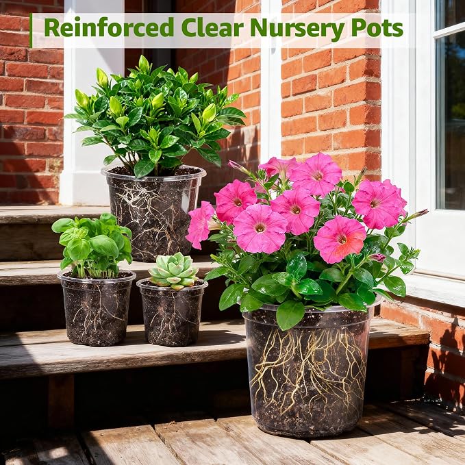 MIXC Clear Nursery Pots with Drainage Holes, 7/5/4/3.5 Inch Reinforced - Image 6