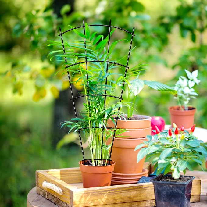 4 Pack 23'' Indoor Plant Trellis - Image 6