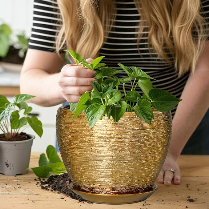 Ceramic Plant Pot 8 Inch - Image 7