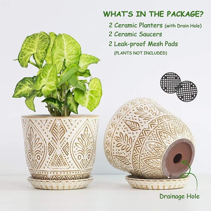 Gepege 6 Inch Ceramic Planter, Birthday - Image 3