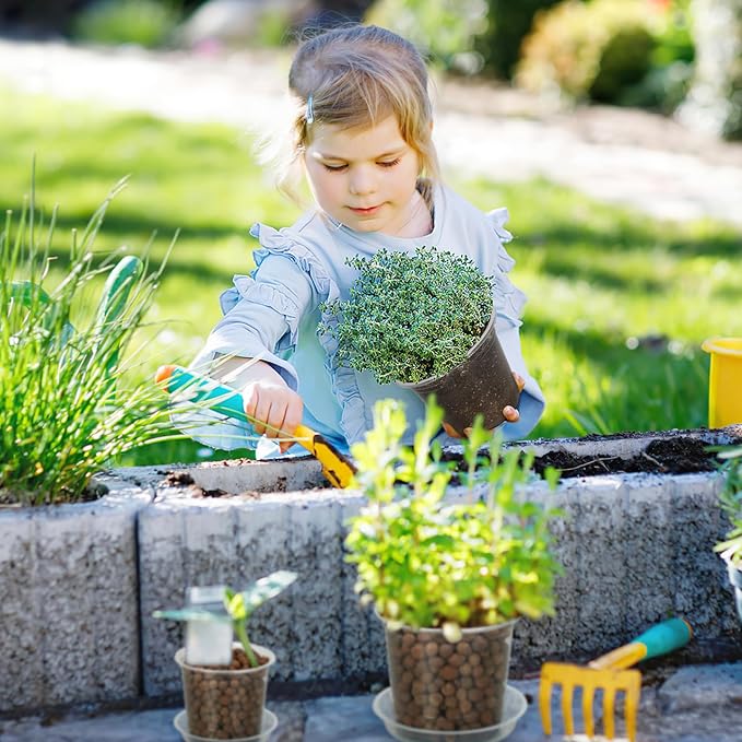 6 Inch Clear Nursery Pots for Plants - Image 7