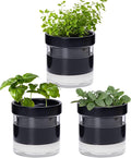 Phoenix Vine 4 Inch Self Watering Planter Pot by Phoenix+Vine