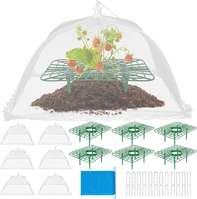 6 Sets Strawberry Plant Supports by NODMIPNS