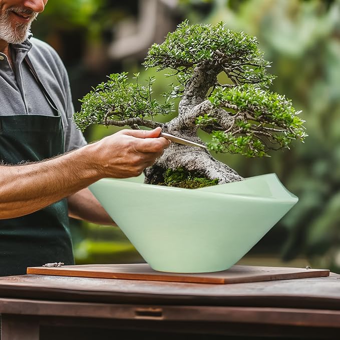 Ceramic Bonsai Pots - Image 4