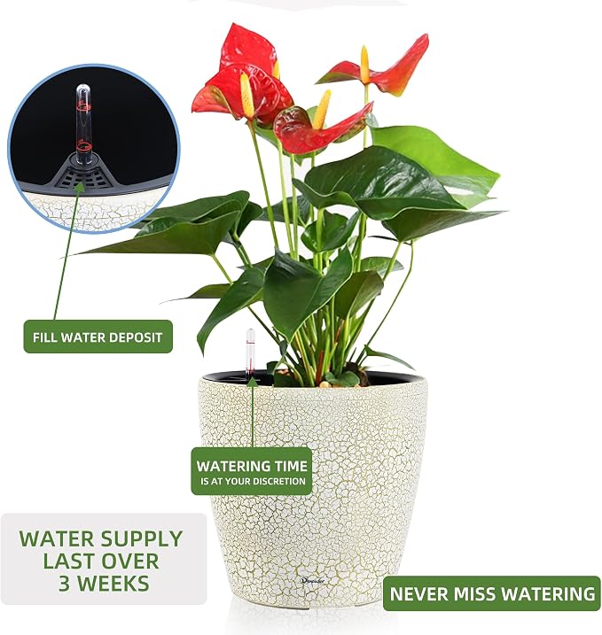 Dexceder 15x14 Self Watering Planter - Image 5