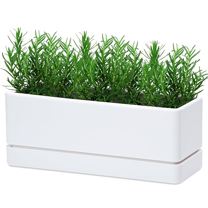 D'vine Dev 12 Inch Window Box Planter, Rectangle Plastic Herb Planter by DvineDevPlanterPotsandStand