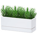 D'vine Dev 12 Inch Window Box Planter, Rectangle Plastic Herb Planter by DvineDevPlanterPotsandStand