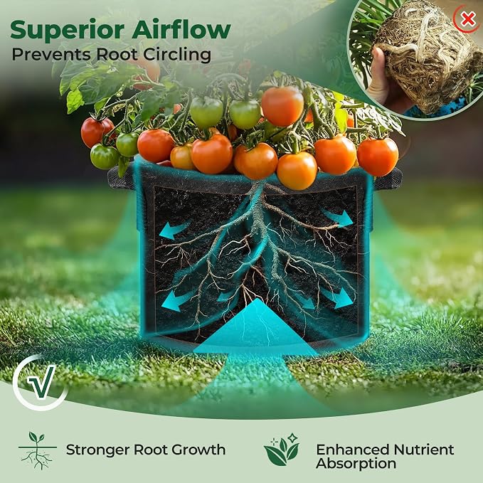 T4U 3 Gallon Grow Bags, Upgrade Grow Bags - Image 5