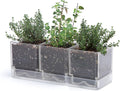 D'vine Dev Herb Garden Planter Set, Plastic Plant Pots by DvineDevPlanterPotsandStand