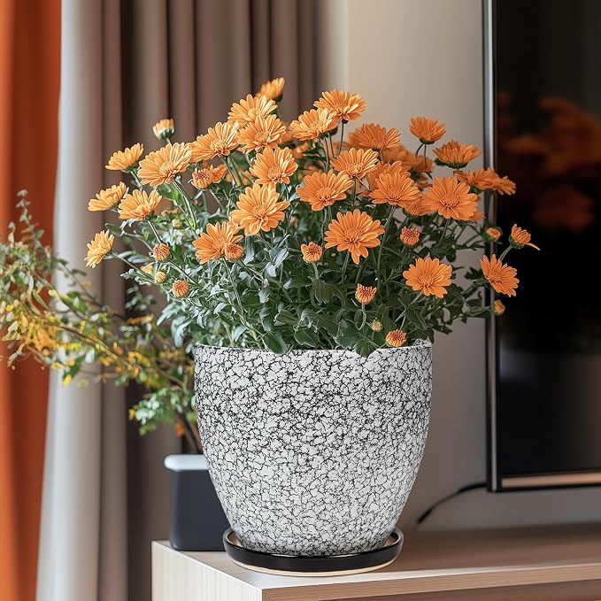 Ceraimc Plant Pot - Image 2
