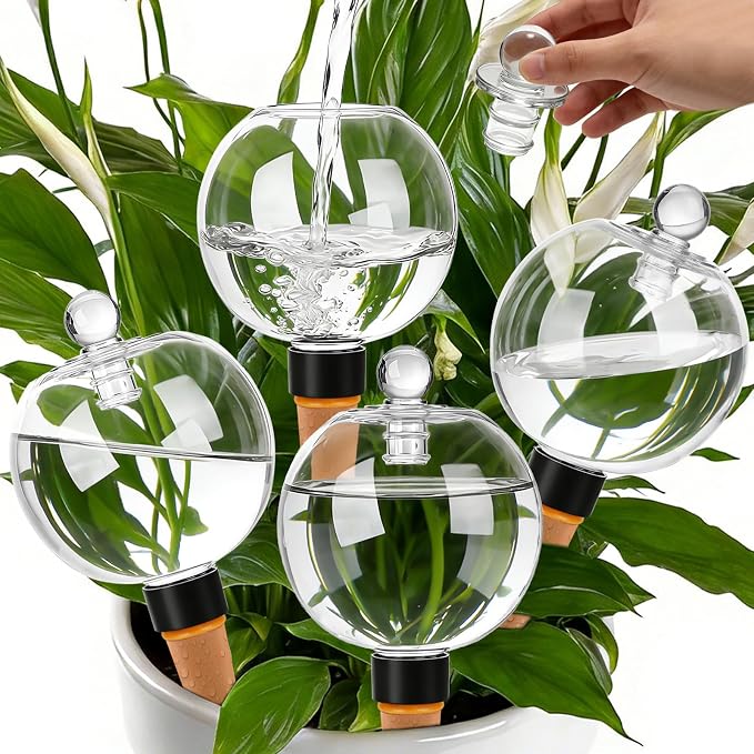 4 Pack 17.5 oz Plant Watering Globes by TINSKY